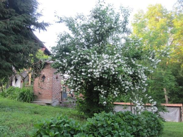 Апартаменты Il Mulino Di Geminella Narzole Экстерьер фото